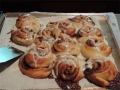 fresh-from-the-oven